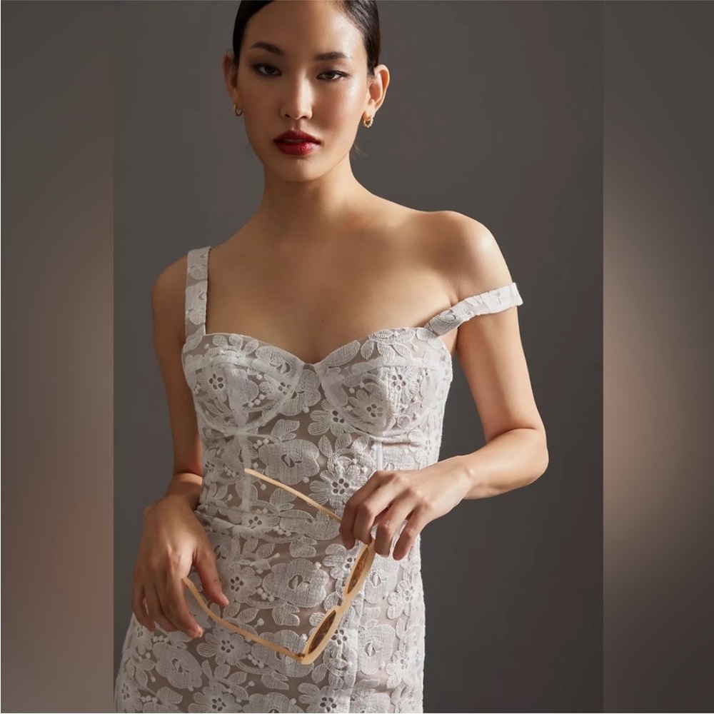 NWT Hutch Slim Lace Corset Midi Dress 0